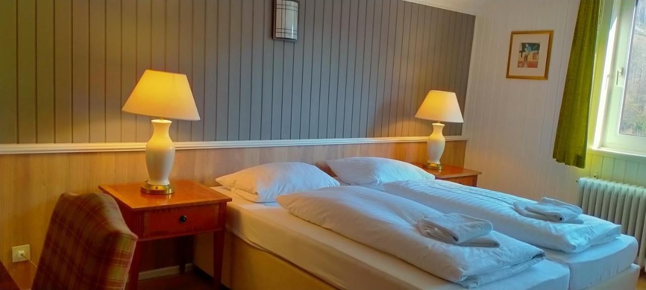 Waldhaus Im Okertal Ξενοδοχείο Γκόσλαρ Εξωτερικό φωτογραφία