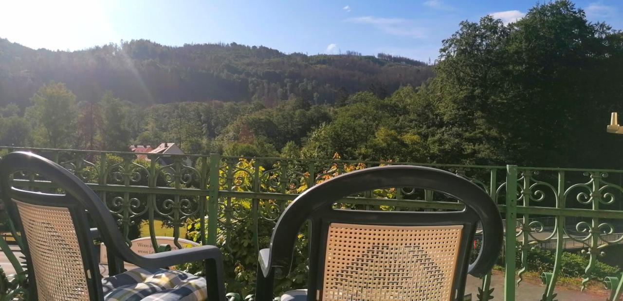 Waldhaus Im Okertal Ξενοδοχείο Γκόσλαρ Εξωτερικό φωτογραφία