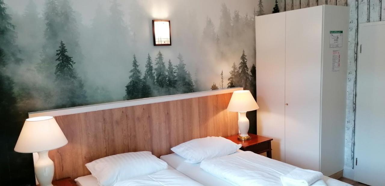 Waldhaus Im Okertal Ξενοδοχείο Γκόσλαρ Εξωτερικό φωτογραφία
