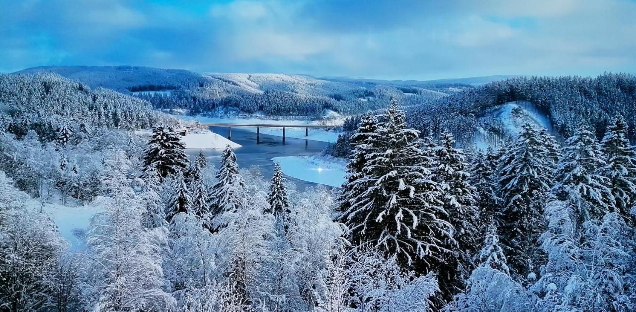Waldhaus Im Okertal Ξενοδοχείο Γκόσλαρ Εξωτερικό φωτογραφία