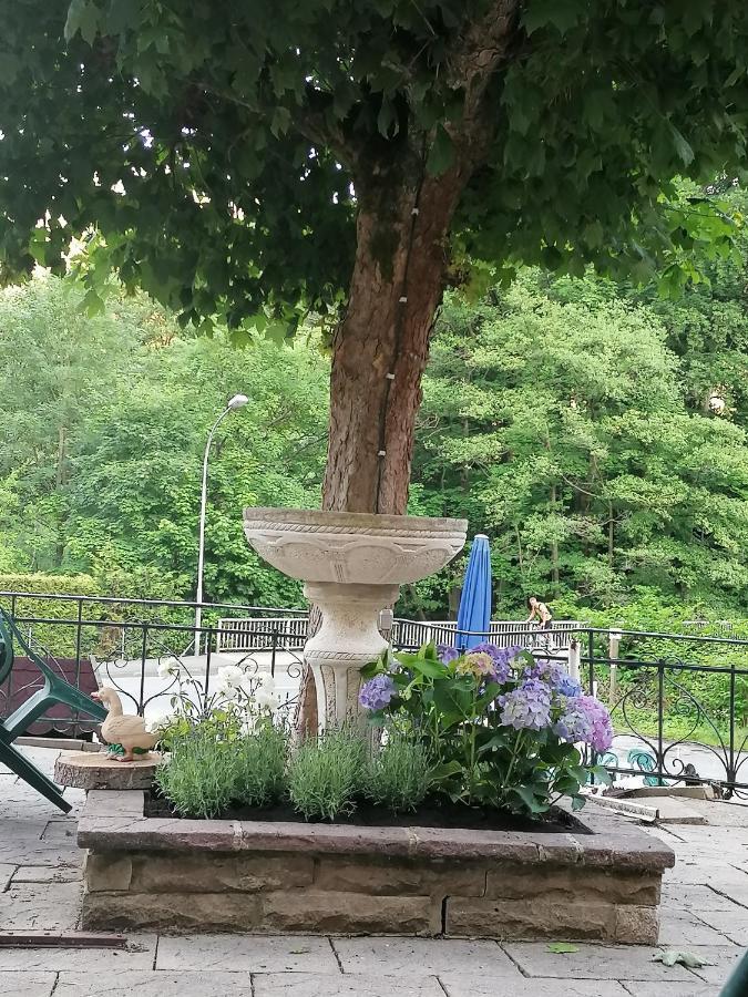 Waldhaus Im Okertal Ξενοδοχείο Γκόσλαρ Εξωτερικό φωτογραφία