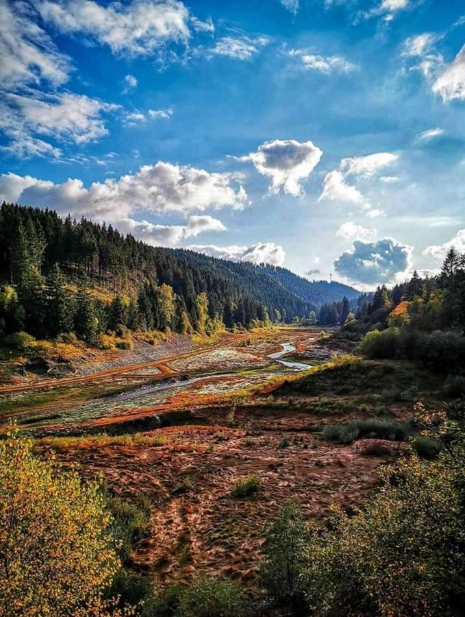Waldhaus Im Okertal Ξενοδοχείο Γκόσλαρ Εξωτερικό φωτογραφία