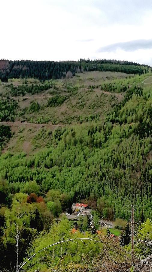 Waldhaus Im Okertal Ξενοδοχείο Γκόσλαρ Εξωτερικό φωτογραφία