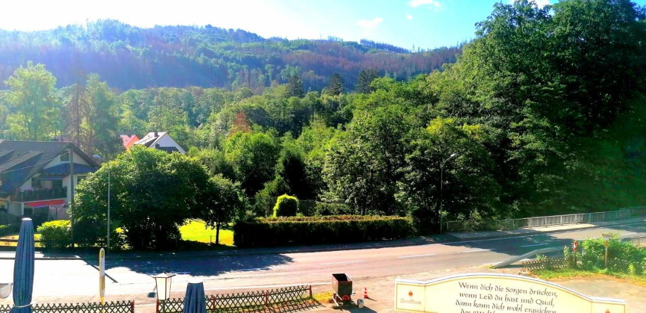 Waldhaus Im Okertal Ξενοδοχείο Γκόσλαρ Εξωτερικό φωτογραφία