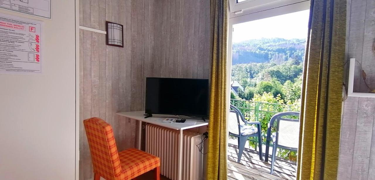 Waldhaus Im Okertal Ξενοδοχείο Γκόσλαρ Εξωτερικό φωτογραφία