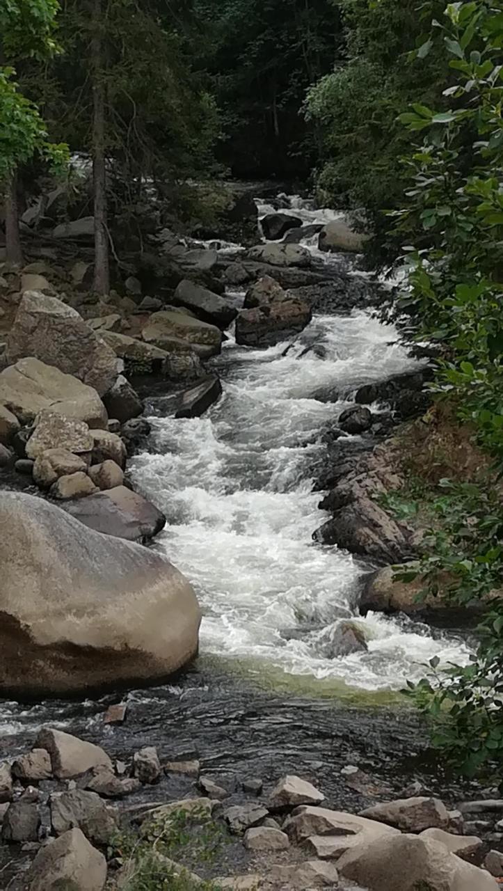 Waldhaus Im Okertal Ξενοδοχείο Γκόσλαρ Εξωτερικό φωτογραφία