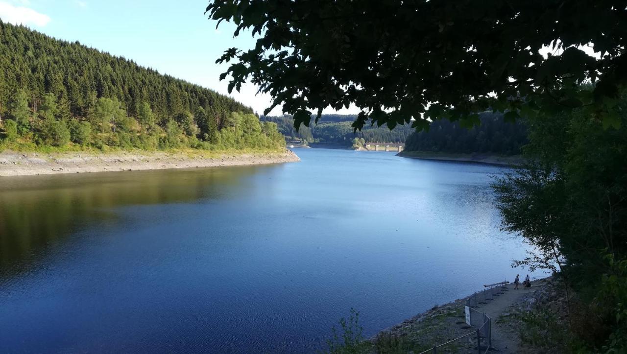 Waldhaus Im Okertal Ξενοδοχείο Γκόσλαρ Εξωτερικό φωτογραφία