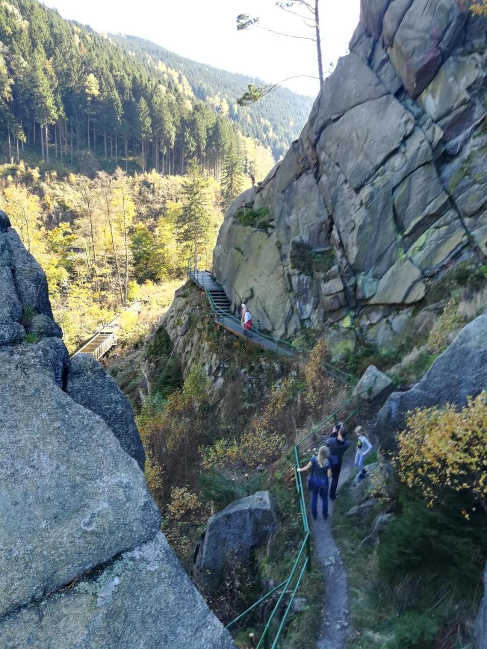 Waldhaus Im Okertal Ξενοδοχείο Γκόσλαρ Εξωτερικό φωτογραφία