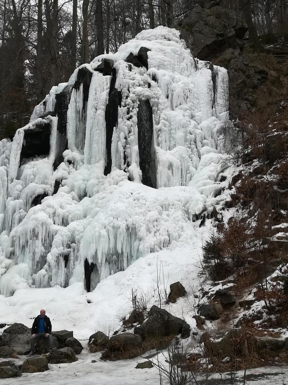 Waldhaus Im Okertal Ξενοδοχείο Γκόσλαρ Εξωτερικό φωτογραφία
