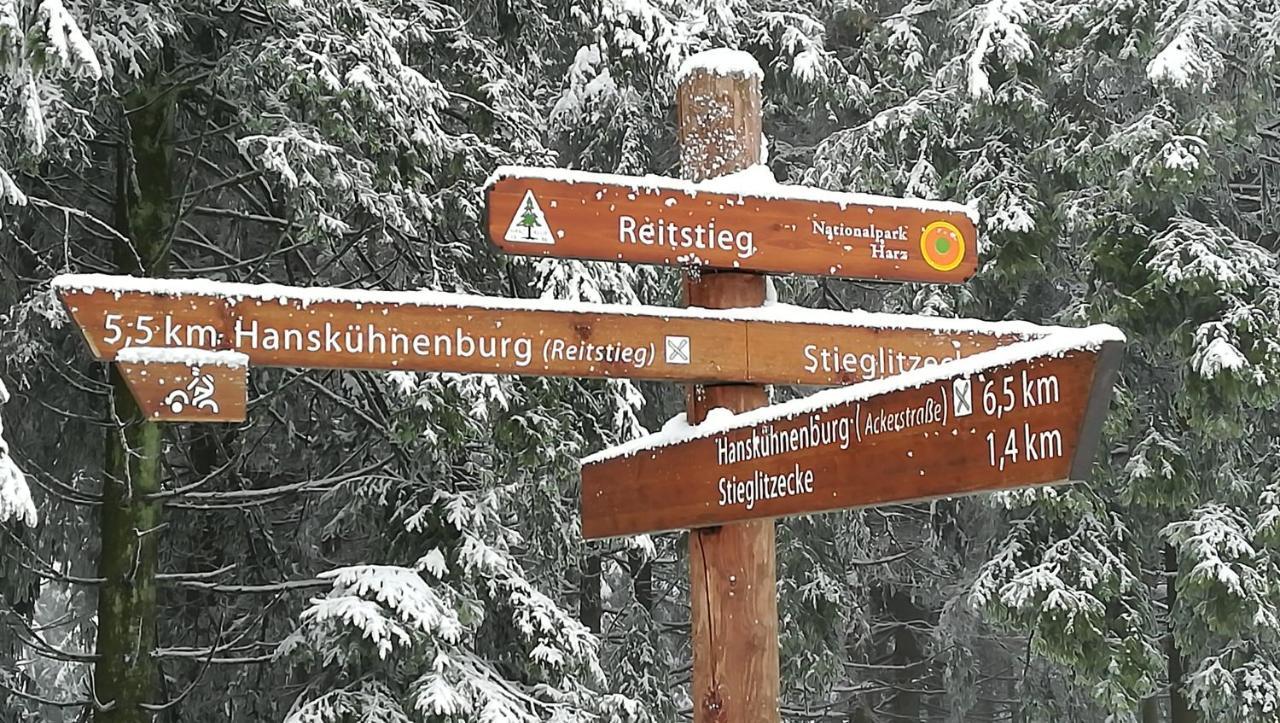 Waldhaus Im Okertal Ξενοδοχείο Γκόσλαρ Εξωτερικό φωτογραφία