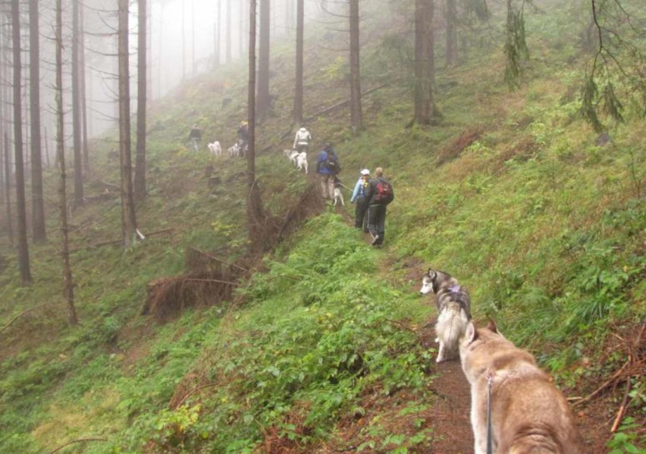 Waldhaus Im Okertal Ξενοδοχείο Γκόσλαρ Εξωτερικό φωτογραφία