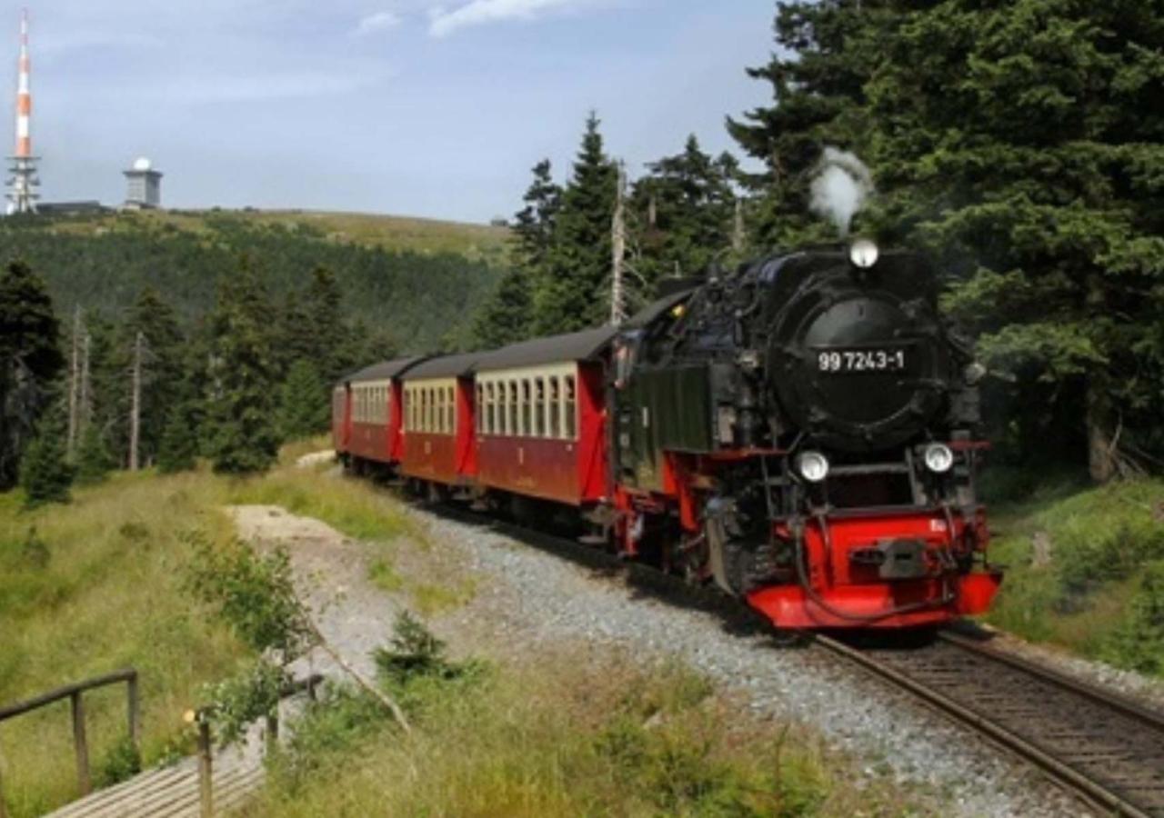 Waldhaus Im Okertal Ξενοδοχείο Γκόσλαρ Εξωτερικό φωτογραφία